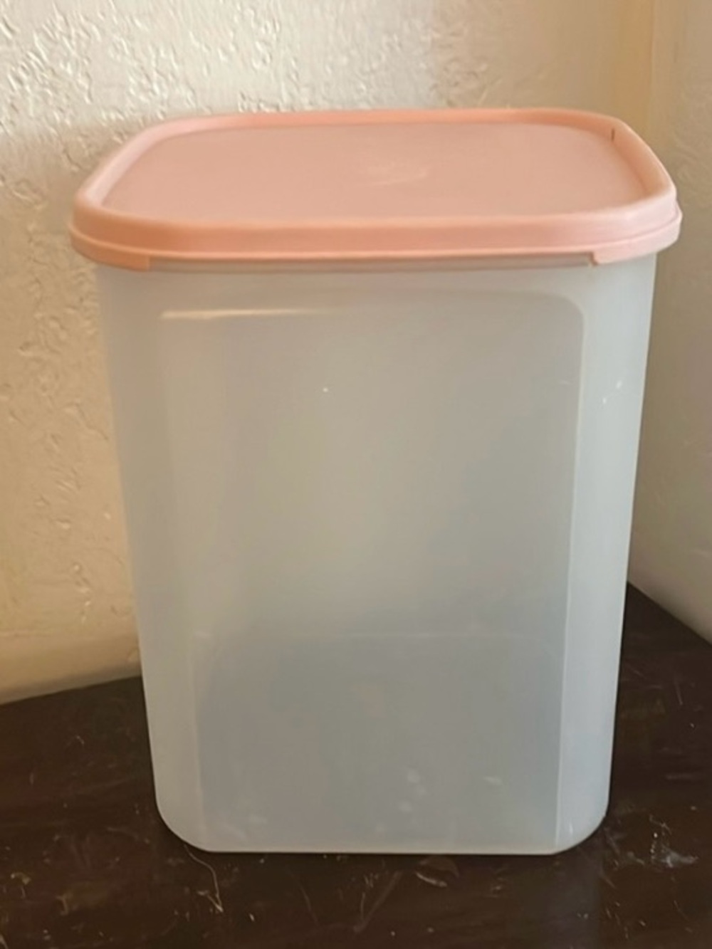 Tupperware Canister Lid